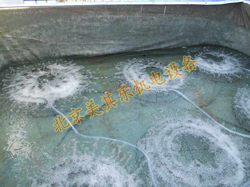 高压鼓风机增氧效果图