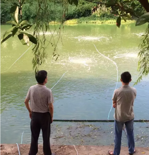 河道治理使用旋涡气泵效果怎么样